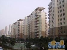 朝南挑高2房,星海双书包可用,看中可谈价