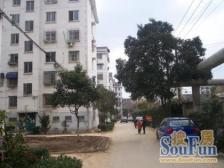 胥江路金桥新村五楼复式干净清爽目前空关看房有钥匙