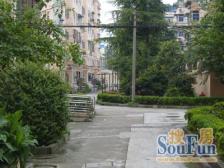 三林成交NO1小区,地铁50米,6/11双轨,配套全南北通