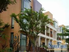 大联排,豪装 带地下室 带车库 通风好,采光好 无抵押,必看好房