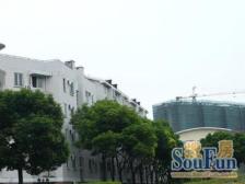 莘庄南广场少见五房 楼层好位置好 三代人同居的优选