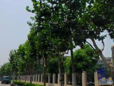 **·龙州小区·2室·1厅