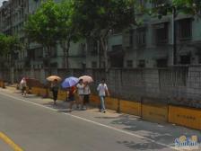 龙州小区 2室1厅 西南