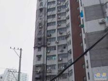 徐汇内环 朝南一房一厅 房型正气 采光通风好