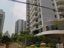 07年次新品质小区!前花园后竹林!客厅大开间!户型好