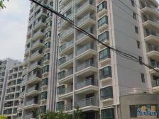 电梯房,大开间,品质小区,精装修