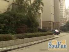 城宁花苑1室南朝向866.00万元/套出售