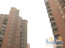 城宁花苑1室南朝向866.00万元/套出售