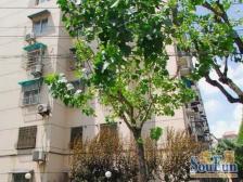 大宁 新上南北通大两房 5年内精装 楼层好 拎包入住