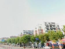 景峰苑2室南朝向280.00万元/套出售