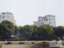 带露台,采光好,现场实勘,产权清晰必看好房