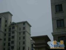 蓼花汀花园(公寓) 3室1厅 东南