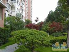 精装带地暖+带车位 拎包入住+经 典飞机户型