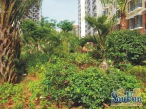 福祥家园瑞福苑3室2厅东南