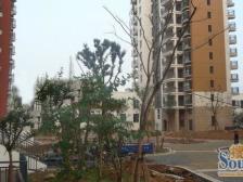 渝中区+来福士广场+两江四岸江景房+轻轨房