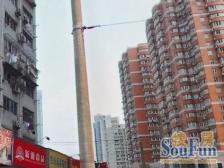 品质小区,环境优美,诚意出售,精装好房