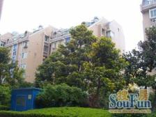 小区仅六套顶复安静位置业主置换诚售看房方便