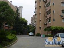 明珠C+中间楼层+中?位置+采光很哇塞