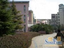 芝巷小区 2室1厅 南 北