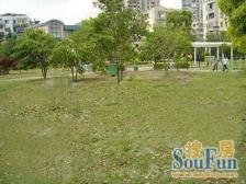 长风高品质两房,装修楼层位置好,吃住行学俱佳!