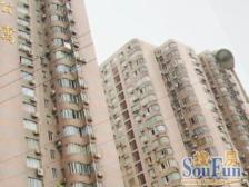 宝钢公寓1室南朝向330.00万元/套出售