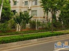 电梯房景观楼层,视野开阔,南北二房二厅,户型优质