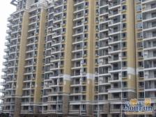 经典大一房 精装修 楼层好 位置好 人车分流