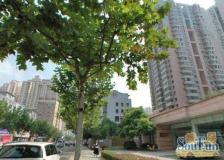 东园四村2室0厅东南