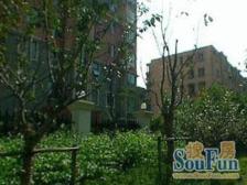 06年社区+南北两房+采光全天视野好+精装修+诚意出售