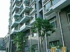 商品房大院子 双南一北 单价低 业主诚意出售 车位另算