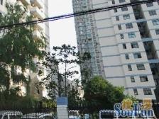 富都花园3室东朝向1100.00万元/套出售