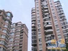 带露台40平,徐家汇南北通大两房,正看城万顷市绿肺