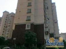 张杨花苑3室南朝向1000.00万元/套出售