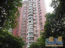 满五,高区视野采光好,业主诚意出售,双南全明户型