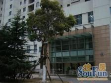 新天地一房一厅一厨一卫+人车分流+地铁口+拎包入住