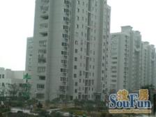 虹口区电梯房 两室一厅 南北户型 高楼层 小区花园位置