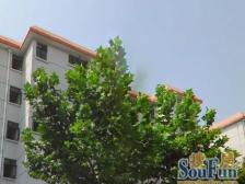 新上房源;中间楼层:上适存:精装修: