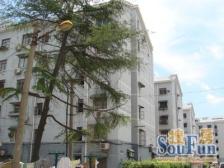 电梯房,大户型,视野好,光照足