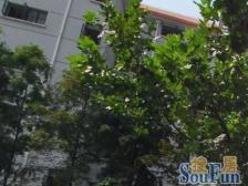 小户型,有装修,诚心出售,上适存