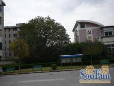 房子采光很好,非顶楼,户型全明