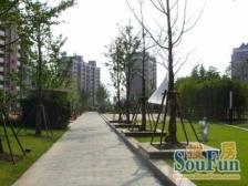 同盛嘉园2室东朝向239.00万元/套出售