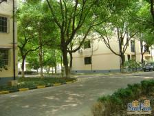 七宝·富丽公寓东区·4室·1厅