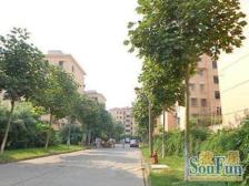 春申五村2室东朝向330.00万元/套出售