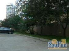 绿园两房+满五税费少+带小院子+小区环境好