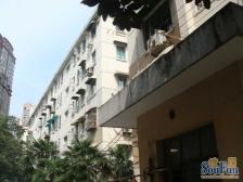 白玉新村 2室1厅 南