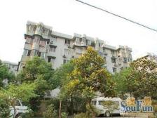 精装修,全南户型,采光充足,小区中心位置,一梯两户