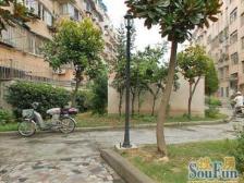 罗阳二村1室南朝向309.00万元/套出售