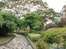 原始电梯复式,上下两层皆惬意,落地窗视野开阔