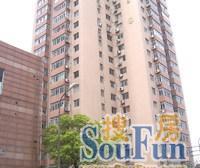 北滨江 内环旁 电梯商品房 全新装修 近地铁 配套好