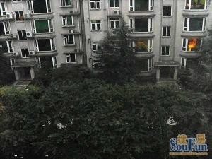 紫竹北街65号3室1厅南